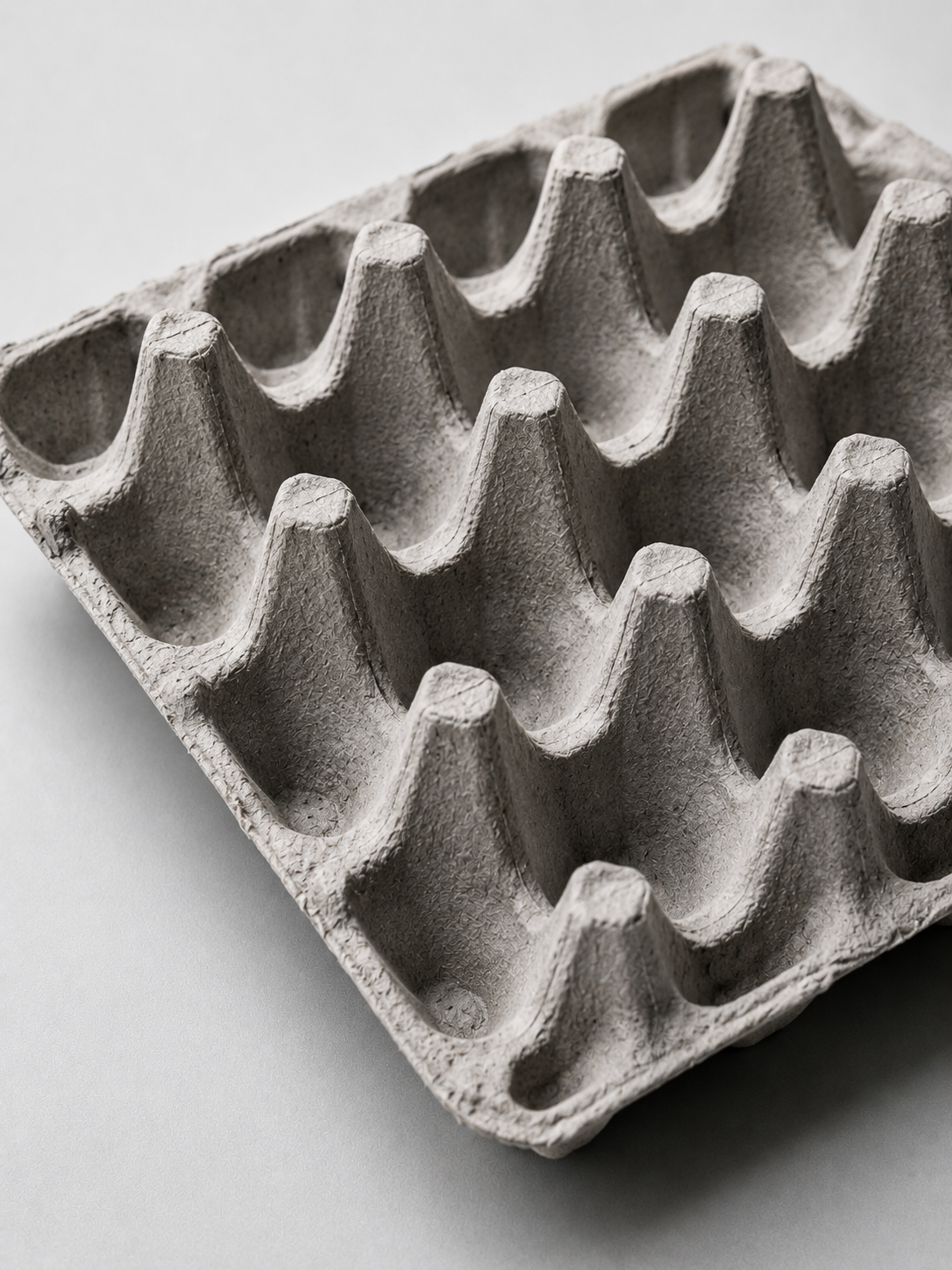 Egg Carton